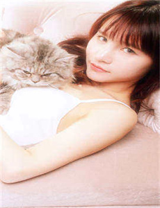 丰田凯美瑞是日本车吗