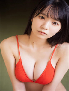 真假东宫演员表