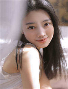 百科全说全集
